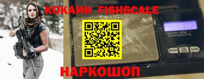 крисы Кулебаки