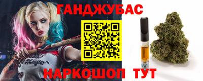 крисы Кулебаки