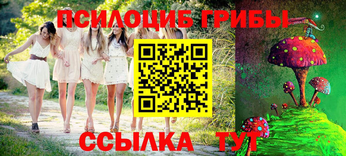 Псилоцибиновые грибы MAGIC MUSHROOMS Жуковский